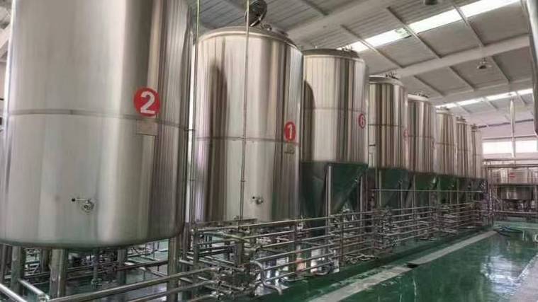 周宁日产10吨精酿啤酒设备多少钱?2026年全套报价帮你算明白
